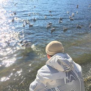 商用流量小狼导航
