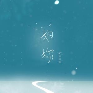 商用流量小狼导航
